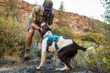 Ruffwear Web Master Harness Blue Dusk Gr. XXS